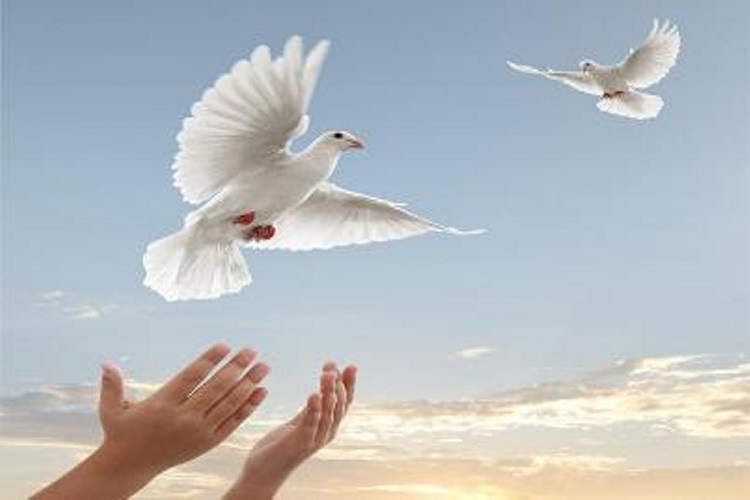 اعزام۹۵۱ نفر از مددجویان کهگیلویه و بویراحمد به مرخصی نوروزی