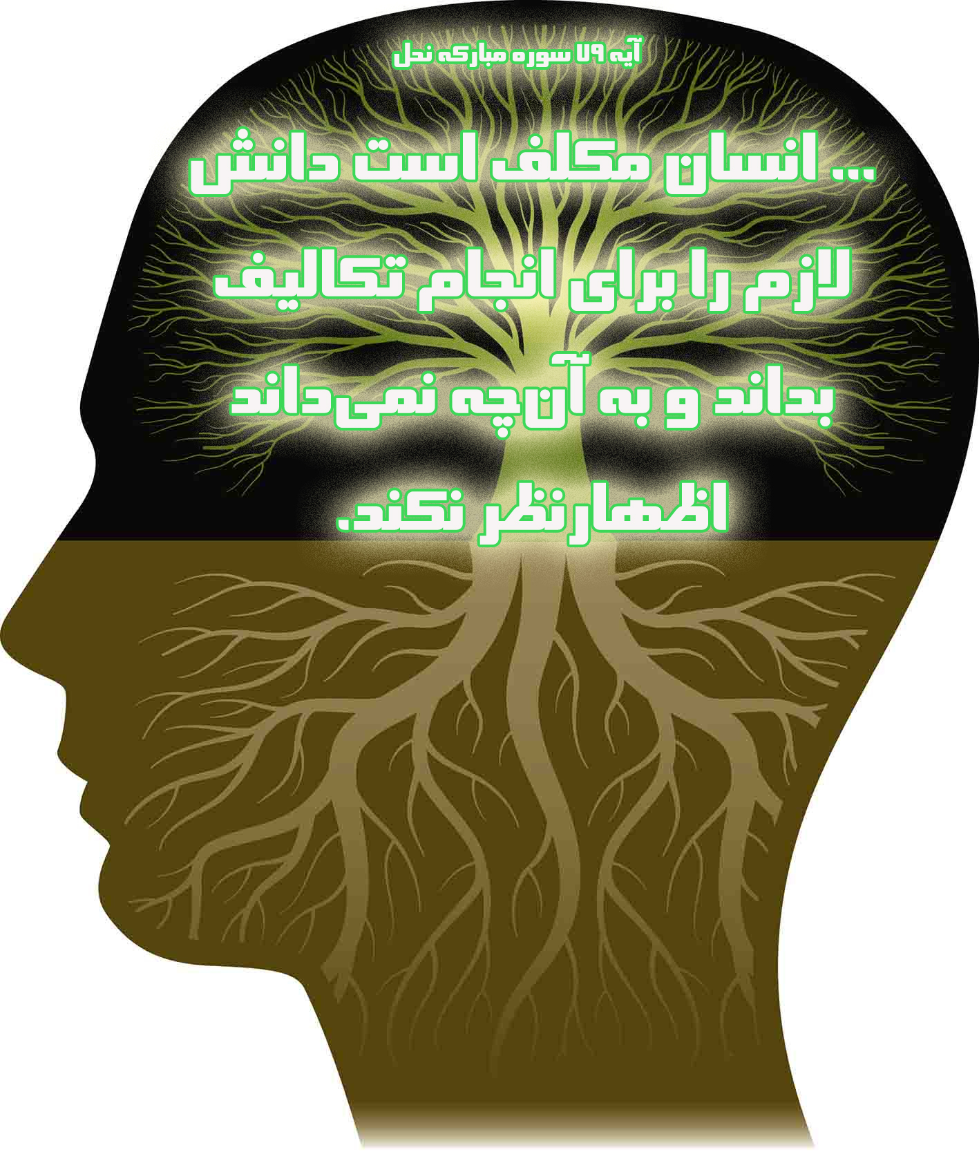 آیهنگاشت/اهمیت علم از نگاه قرآن آیهنگاشت/اهمیت علم از نگاه قرآن