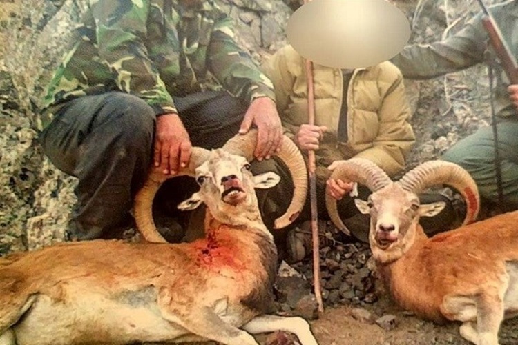 دستگیری محیطبانی که با شکارچیان همکاری میکرد دستگیری محیطبانی که با شکارچیان همکاری میکرد