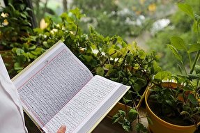 وضعیت مطلوب دارالقرآن حاجیه کبری کرمی گچساران