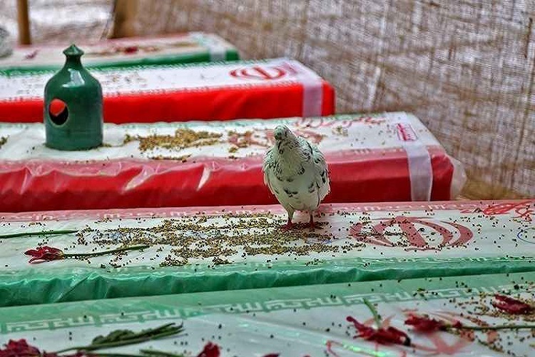 یادواره شهدای چرام برگزار شد