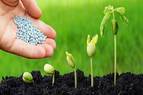 جای خالی هشدار حاکمیتی به اخلالگران محیط زیست