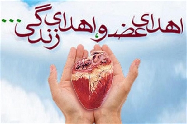 اهدای زندگی دوباره به چند بیمار نیازمند پیوند عضو