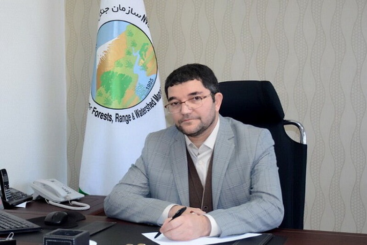 ۳۷۱ هزار نهال همزمان با هفته منابع طبیعی در آذربایجان&zwnj;شرقی کشت می&zwnj;شود