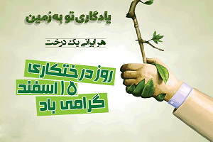 درخت‌ها سجده می‌کنند / نشانه‌ها را هم دریابیم