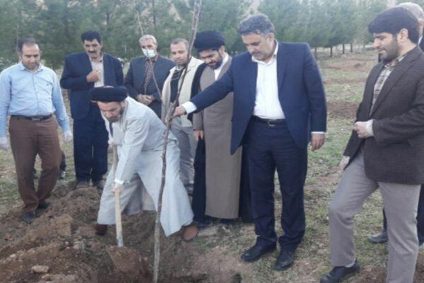 ضرورت صیانت از درختان/ طبیعت را مانند خانه بدانیم