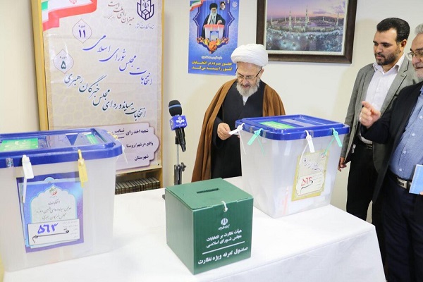 سخنان مراجع و علما در پای صندوق رای انتخابات مجلس