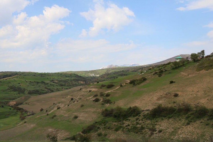 معلمی که در دل رشته کوههای البرز پیامبری میکند معلمی که در دل رشته کوههای البرز پیامبری میکند