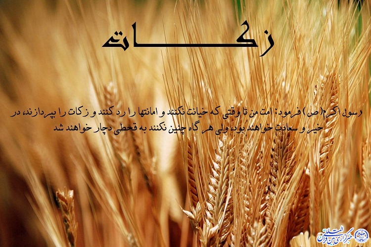 رحمت و برکتی که روزی می&zwnj;آورد/ جایگاه زکات در دین