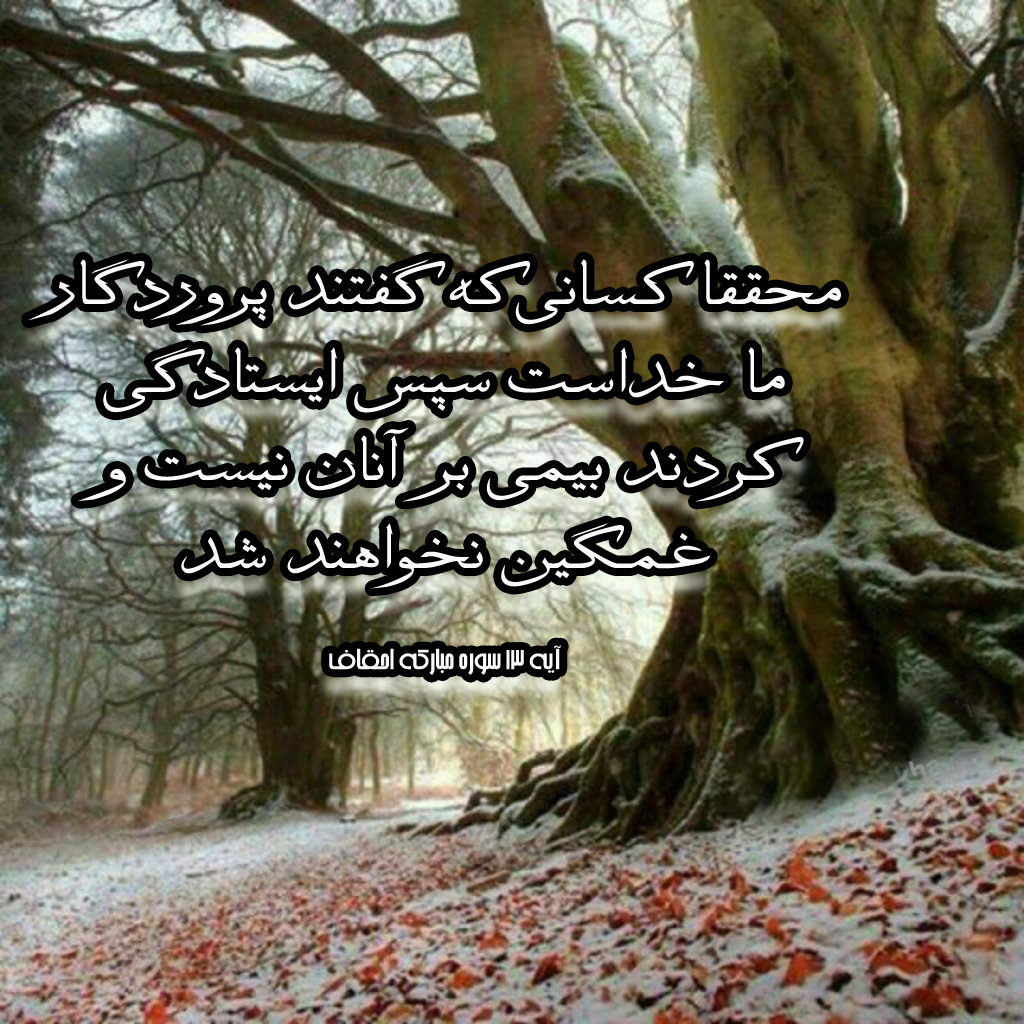 آیه&zwnj;نگاشت/عدم اندوه برای اهل استقامت