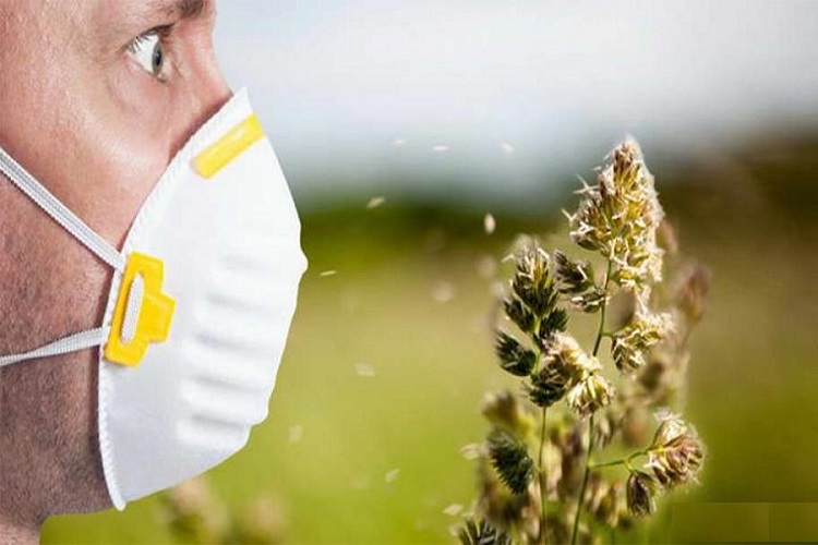 بایدهای و نبایدهای حساسیت بهاری