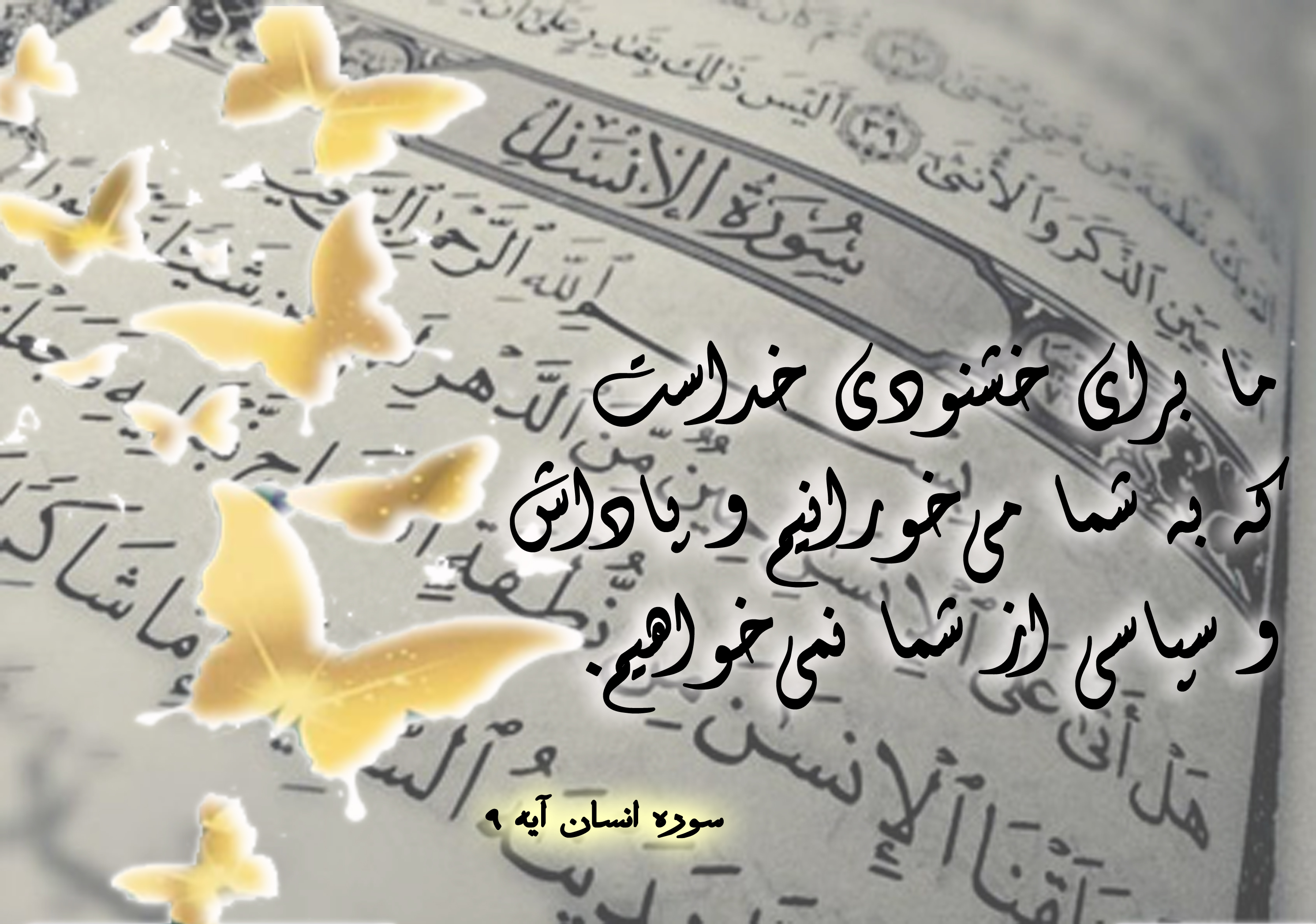 آیه&zwnj;نگاشت/انواع نیت&zwnj;ها