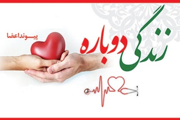 اعطای نشان عالی اهدای عضو به 7 نفر از نخبگان اردبیل