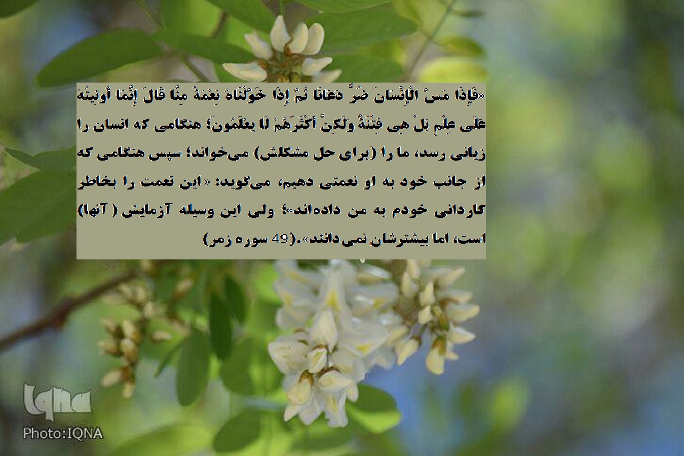 آیه نگاشت/ اعطای نعمت و آزمایش الهی