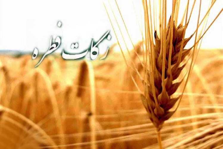 آمادگی 120 پایگاه جمع&zwnj;آوری فطریه در ساوجبلاغ