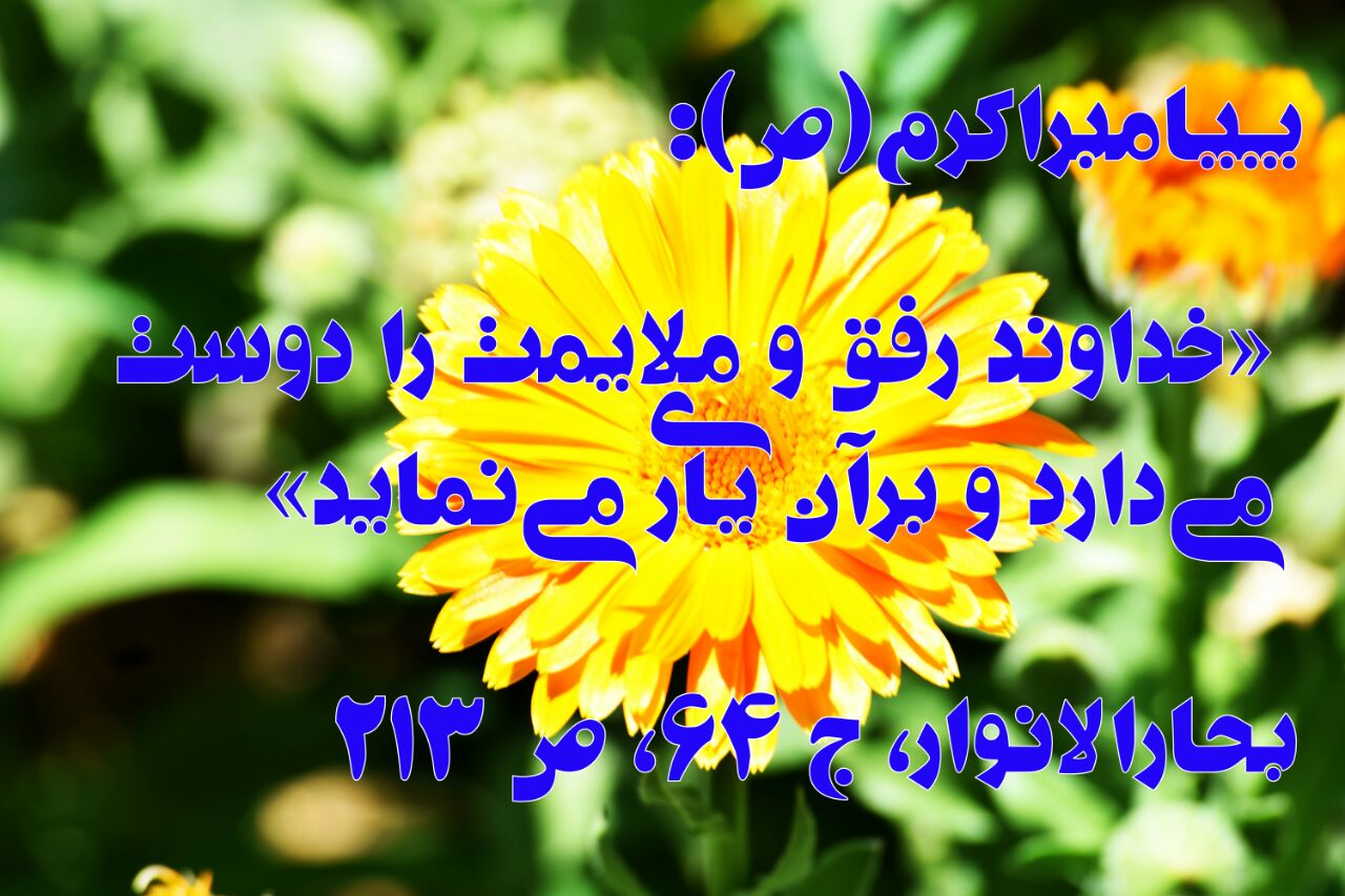 حدیث&zwnj;نگاشت/ جایگاه ملایمت در کلام نبوی