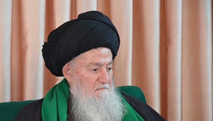 گذری بر زندگینامه آیت&zwnj;الله &laquo;سید محمد حسینی شاهرودی&raquo;