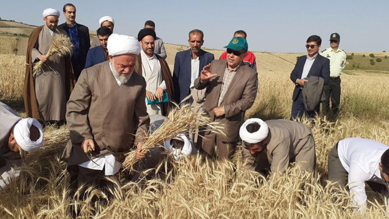 فلسفه پرداخت زکات رهایی از دنیازدگی است فلسفه پرداخت زکات رهایی از دنیازدگی است
