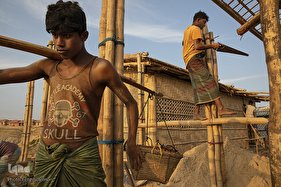 ما مجاز به زندگی نیستیم!