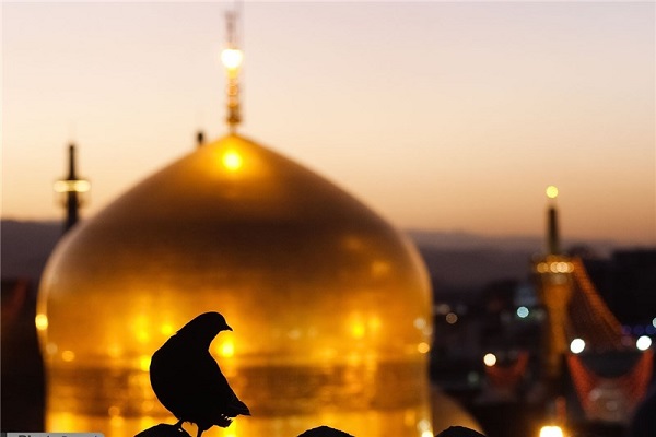 پیوند استوار توحید و ولایت در حدیث «سلسلة الذهب»