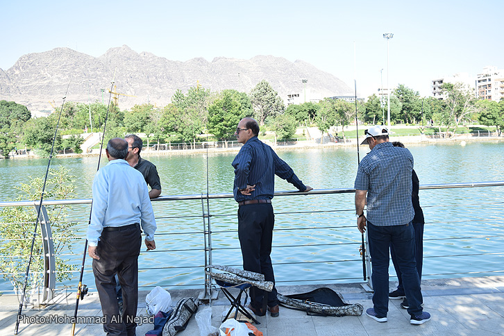 ماهیگیری