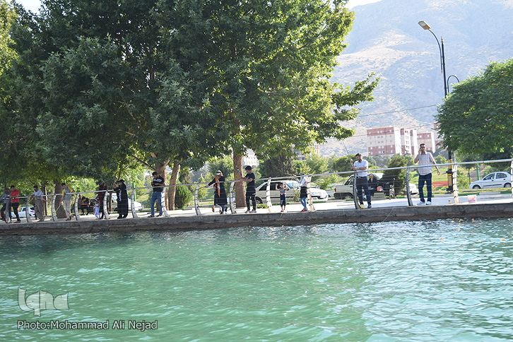 ماهیگیری