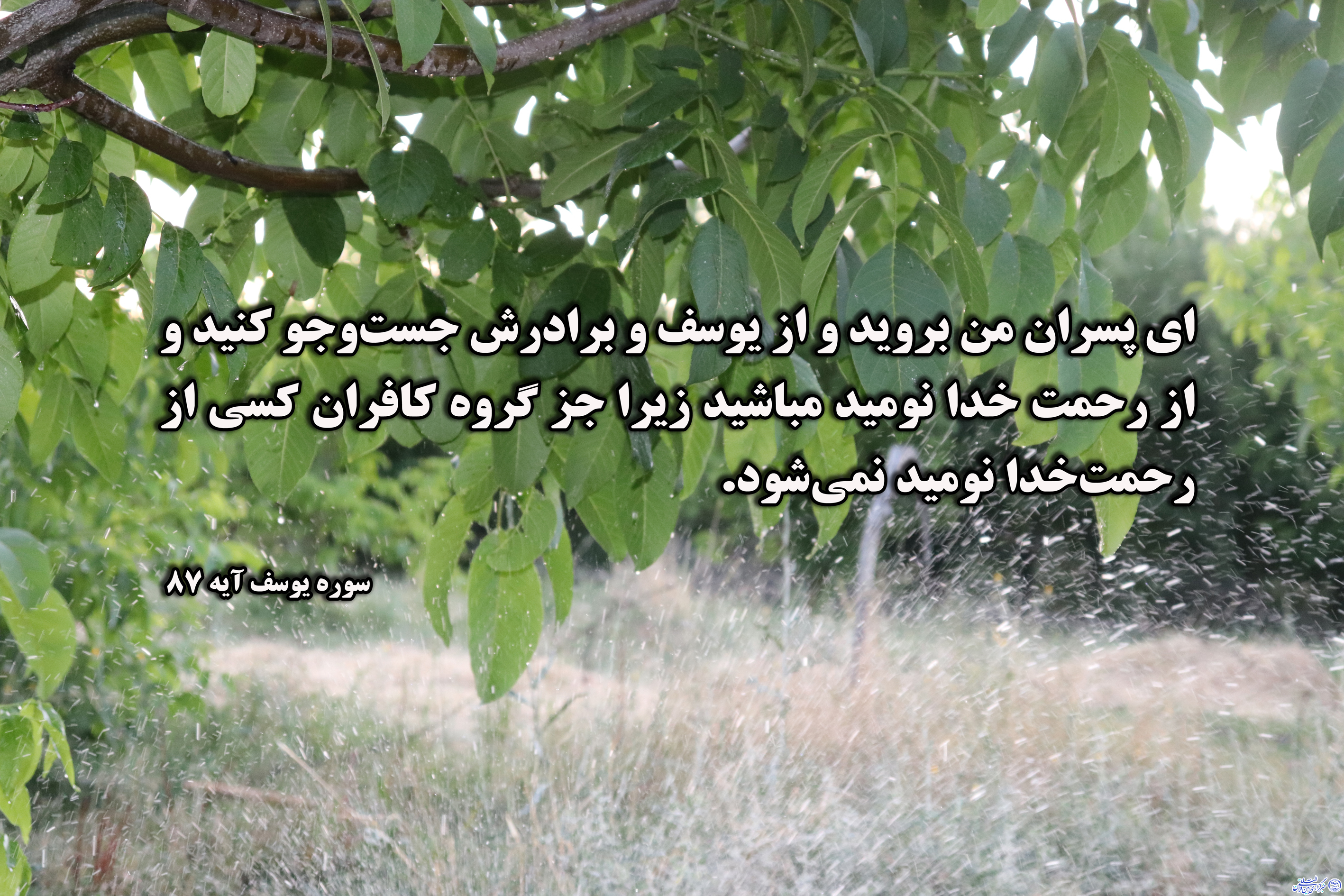 آیه&zwnj;نگاشت/ /امید به رحمت پروردگار داشته باشیم