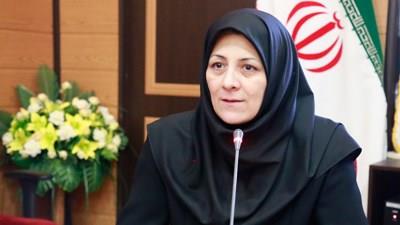 مرگ مغزی سالانه 5 تا 8 هزار ایرانی