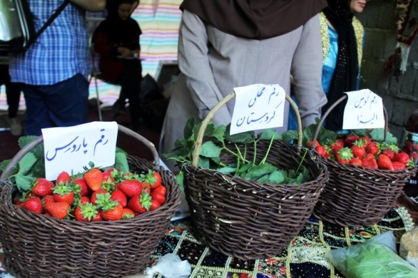 جشنواره&zwnj;ای با چاشنی مناظر زیبا و طعم توت فرنگی