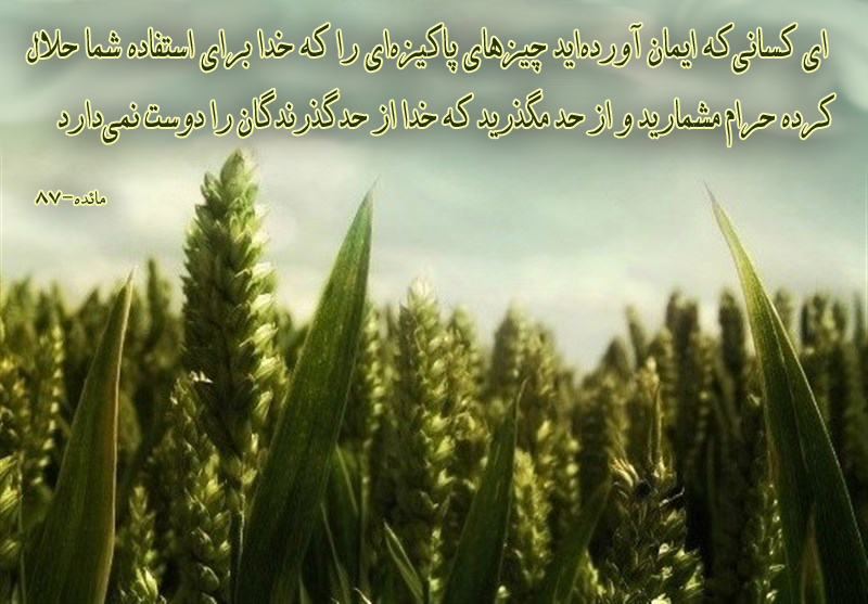 آیهنگاشت/ حلال خدا را حرام نکنید آیهنگاشت/ حلال خدا را حرام نکنید