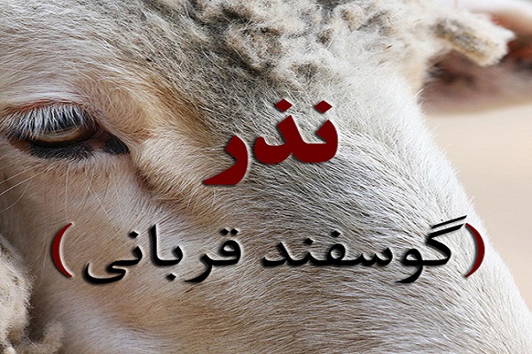 عموم مردم با هر توان مالی در طرح نذر قربانی می&zwnj;توانند شرکت کنند