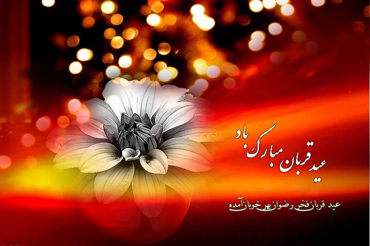 کمیته امداد کهگیلویه و بویراحمد آماده دریافت نذورات عید قربان است
