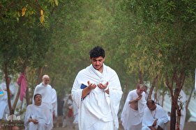 دعای عرفه حجاج ایرانی در صحرای عرفات