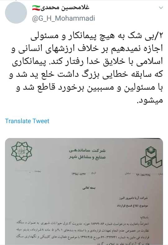 فیلم سگ‌کشی برای سال 96 است/ پیمانکار متخلف عزل شد