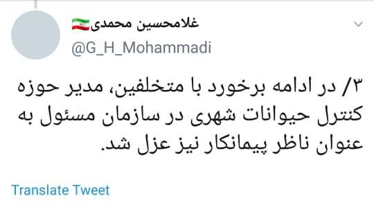 فیلم سگ‌کشی برای سال 96 است/ پیمانکار متخلف عزل شد