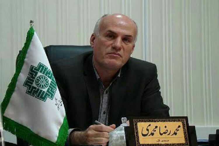 ۳۰ درصد کارکنان امور مالیاتی لرستان از جامعه ایثارگر هستند