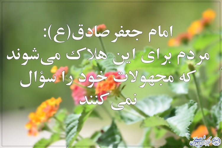 حدیث&lrm;نگاشت/ رابطه جهالت و هلاکت