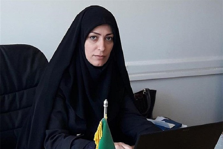 کارگاه آموزشی نقش بانوان در ارتقای سلامت اجتماعی برگزار می&zwnj;شود