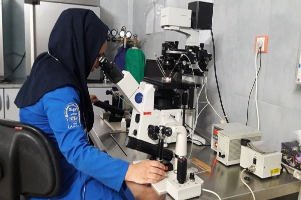 درصد بالای موفقیت عمل IVF در مرکز درمان ناباروری جهاد دانشگاهی قم