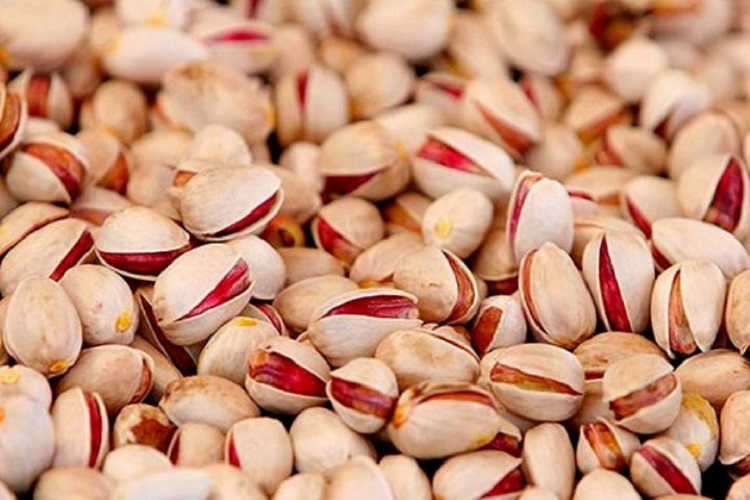 برگزاری جشنواره ملی پسته در دامغان