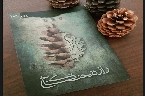مسابقه &laquo; راز درخت کاج&raquo; در حرم حضرت معصومه(س) برگزار می&zwnj;شود