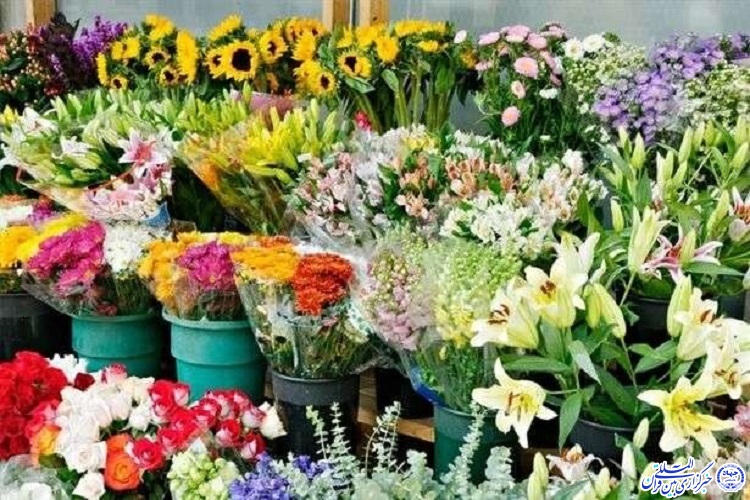 برگزاری اولین نمایشگاه گل و گیاه ایلام