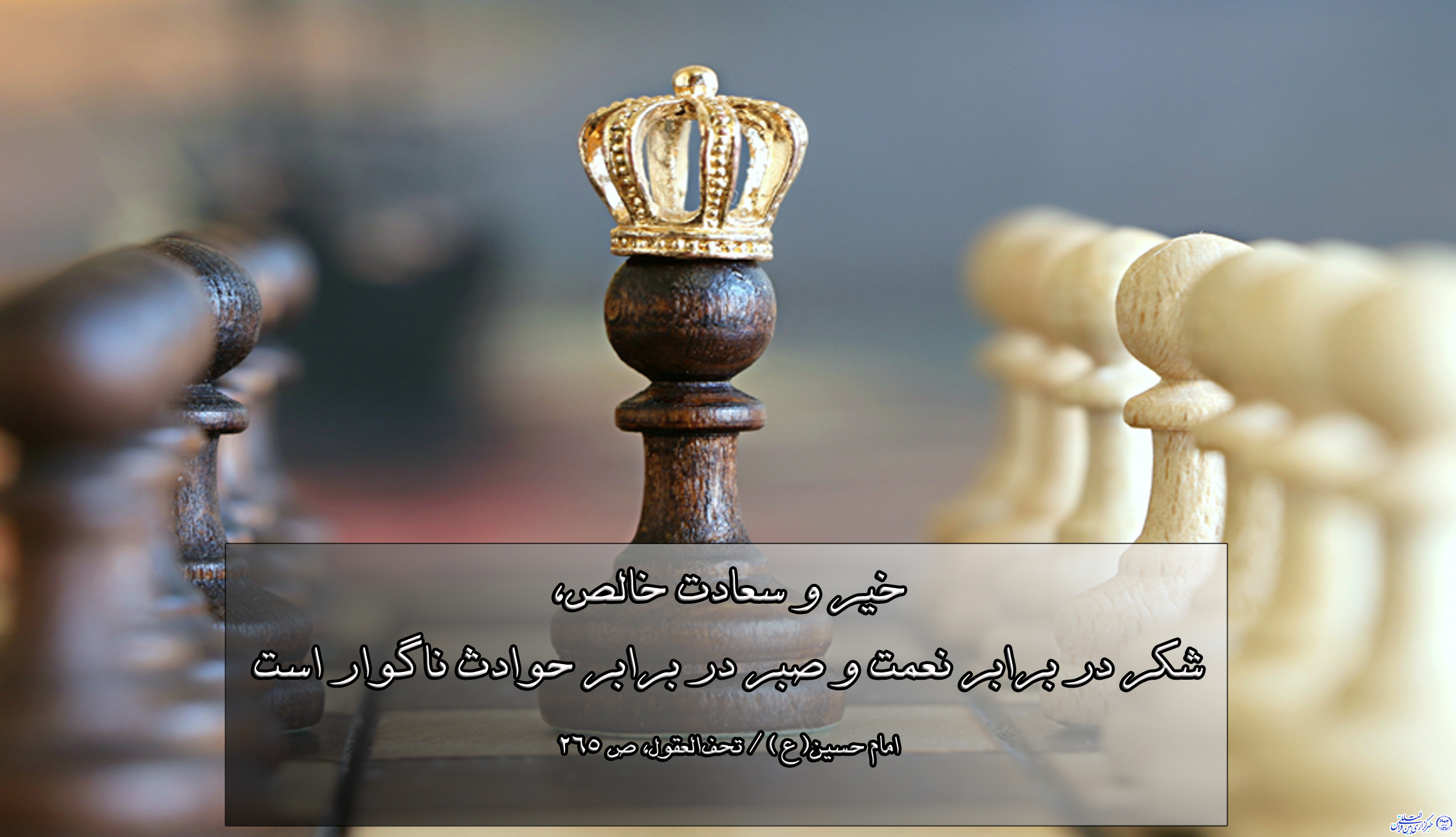 ****حدیث&zwnj;نگاشت/سعادت خالص از نگاه امام حسن(ع)