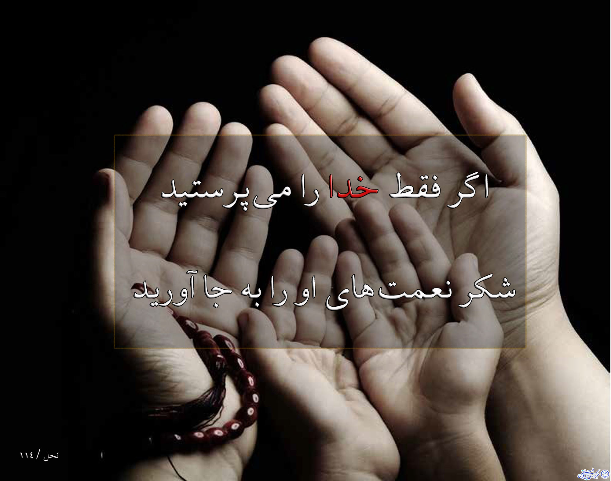 ***آیهنگاشت/اهمیت شکرگزاری از نگاه قرآن ***آیهنگاشت/اهمیت شکرگزاری از نگاه قرآن