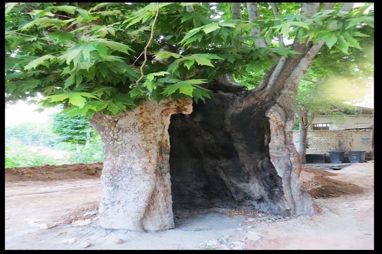 چهار اثر طبیعی قم ثبت ملی شد