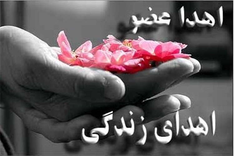 اهدای عضو کودک 3 ساله بروجردی