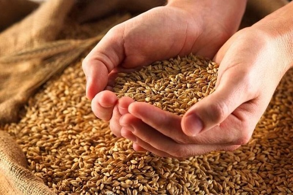 زکات اصفهانی&zwnj;ها فرصتی برای ارائه ۷۲ هزار خدمت به نیازمندان