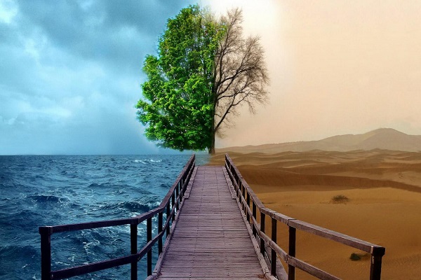 نهج&zwnj;البلاغه، نرم&zwnj;افزار راهبردی اصلاح حیات بشر است/ ماهیت علم حقیقی از منظر قرآن