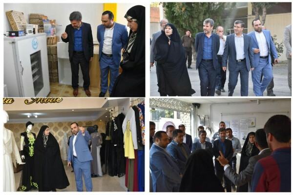 نقش جهاد دانشگاهی آذربایجان&zwnj;غربی در اجرای طرح نوین توسعه مشاغل خانگی