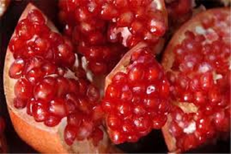 پنجمین جشنواره انار درجزین آغاز شد